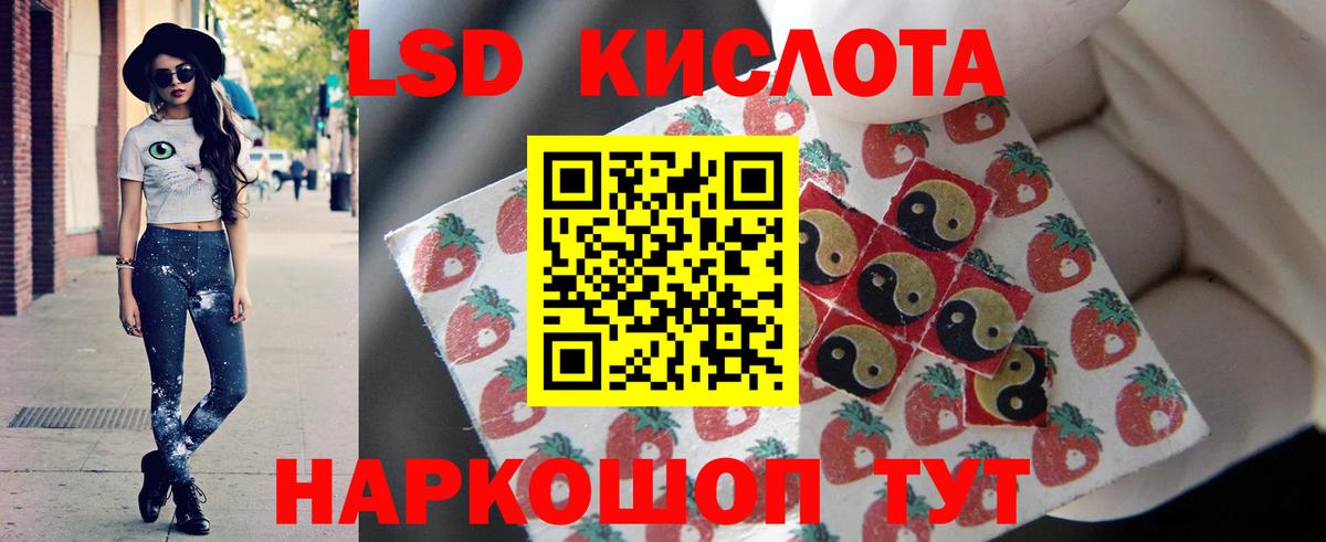 МЕФ Кисловодск