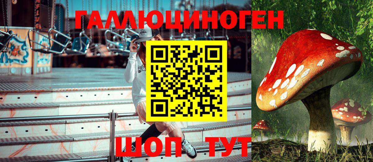 где купить наркотик  Псилоцибиновые грибы Psilocybine cubensis  Вход с VPN  Кисловодск 